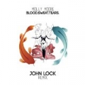 Blood. Sweat. Tears. (John Lock Remix) - Single by Molly Moore
