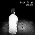 Spirits [Explicit] by Gremlin