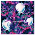 Voice by Doe Paoro