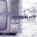 Perfect (feat. Telle Smith) [Explicit] by Echo Black