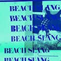 A Loud Bash Of Teenage Feelings by Beach Slang