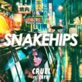 Cruel [Explicit] by Snakehips feat. ZAYN