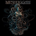 The Violent Sleep of Reason by Meshuggah