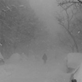 Trust Nobody [Explicit] by Cashmere Cat