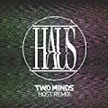 Two Minds (Host Remix) by Haus