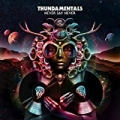 Never Say Never [Explicit] by Thundamentals