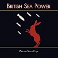 Please Stand Up by British Sea Power