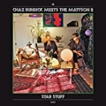 A Search by Chaz Bundick Meets The Mattson 2
