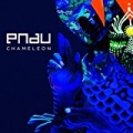 Chameleon by Pnau