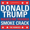 DonaldTrumpMakesMeWannaSmokeCrack (The Remixes) by Ledinsky