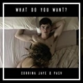 What Do You Want? by Corrina Jaye & Pasv