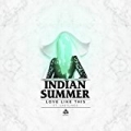 Love Like This (feat. Lastlings) by Indian Summer