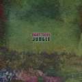 Jungle by Night Talks