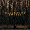Blackroot Forest by The Wise Man's Fear