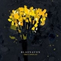 That's Your Lot by Blaenavon