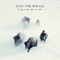 As Long as Your Eyes Are Wide [Explicit] by Said the Whale
