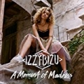 A Moment of Madness by Izzy Bizu