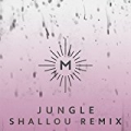 Jungle (Shallou Remix) by Saint Mesa