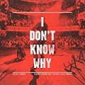 I Don't Know Why (Danny Avila Remix) by Gavin James