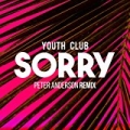 Sorry (Peter Anderson Remix) by Youth Club