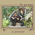 In My Bones by Incan Abraham