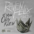 If You Only Knew (feat. Rob $tone) [Explicit] by Raven Felix
