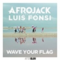 Wave Your Flag by Afrojack