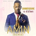 Amin (Remix) by Dammy Krane