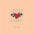 Ivy by Cedar Green