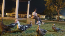 Kodak Black 'Little Birdie' music video