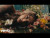 Gore. 'Crucified' music video