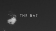 Sean Nicholas Savage 'The Rat' music video