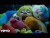 Scowl 'Fantasy' music video