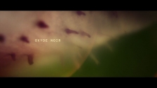 Oxyde Noir 'Photon' music video