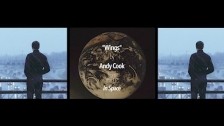 Andy Cook 'Wings' music video
