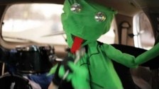 Animal City 'Mouseface' music video