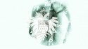 Terranova 'Headache (Till von Sein & Tigerskin Remix)' Music Video