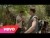 The Vamps 'Oh Cecilia (Breaking My Heart)' music video