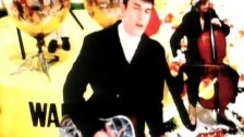 The Blow Monkeys 'Springtime For The World' music video