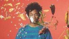 Toro y Moi 'Lilly' music video