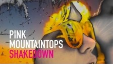 Pink Mountaintops 'Shakedown' music video