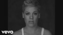 Pink 'Wild Hearts Can't Be Broken' Music Video