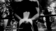 Angelfish 'Heartbreak To Hate' music video