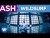 Ash 'Wildsurf' music video