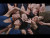 Tallisker 'Désir' music video
