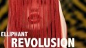 Elliphant 'Revolusion' Music Video