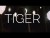 Ponyhof 'Tiger' music video