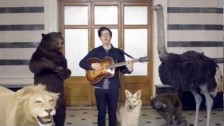 Dan Croll 'Compliment Your Soul' music video