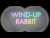 Jordan Galland 'Wind-Up Rabbit' music video