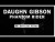 Daughn Gibson 'Phantom Rider' music video
